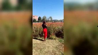 吃瓜神探 下载,揭秘娱乐圈背后的秘密与真相