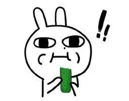 带你吃瓜养熊,吃瓜养熊背后的故事与真相