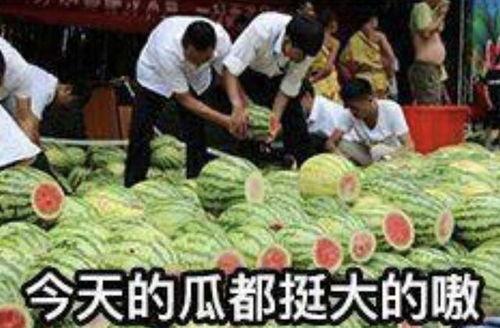 容城 吃瓜事件,揭秘网络谣言背后的真相