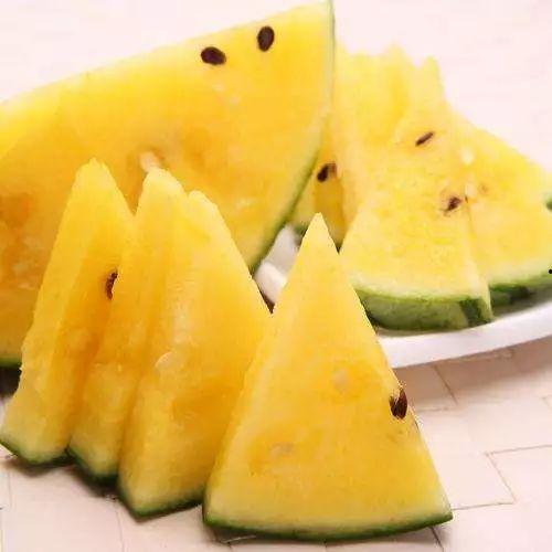 吃瓜去海南,一场说走就走的吃瓜盛宴