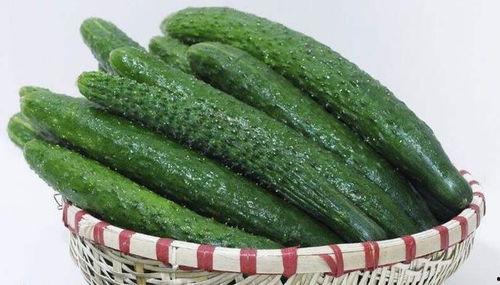 吃瓜真好吃视频,一场视觉与味蕾的双重盛宴