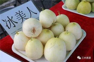 吃雪梨瓜的好处,润肺生津，夏日清凉佳品