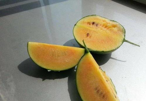 带你吃瓜看到彩虹,带你吃瓜探秘美食世界