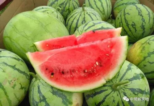 吃瓜吃甜口苦,揭秘“吃瓜吃甜口苦”的独特风味