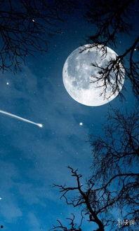 大瓜头吃月亮,一场与月亮的梦幻邂逅