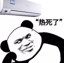 吃瓜群主请留言,揭秘网络社交背后的留言文化