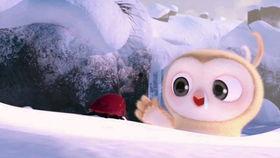 吃瓜学生的搞笑视频,搞笑视频里的青春狂欢