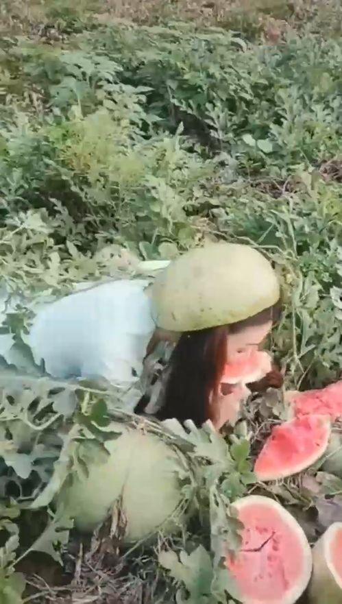 俏姐吃瓜,揭秘娱乐圈幕后故事