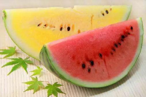 国培计划吃瓜,探索教育新篇章，共筑教育强国梦