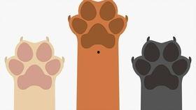 吃瓜群众德语,吃瓜群众视角下的德语世界