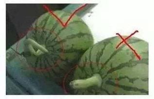 吃瓜创音,揭秘娱乐圈背后的故事与真相