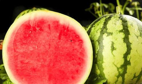 吃瓜的全部过程,一场吃瓜大事件的全程回顾