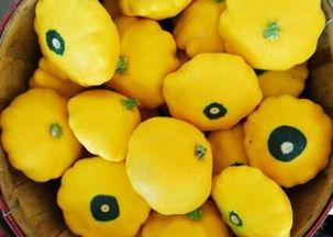 金飞碟瓜扎吃,探寻美食与科技的完美融合