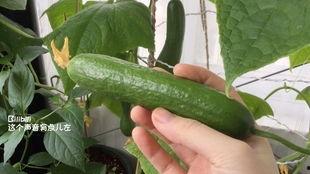 实时跟新吃瓜,揭秘娱乐圈最新热点事件