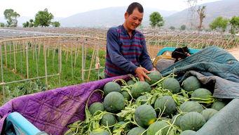 潮州金石镇吃瓜事件,一场引发热议的街头冲突纪实