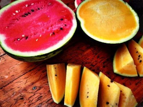 朝县吃瓜,揭秘当地特色美食背后的故事